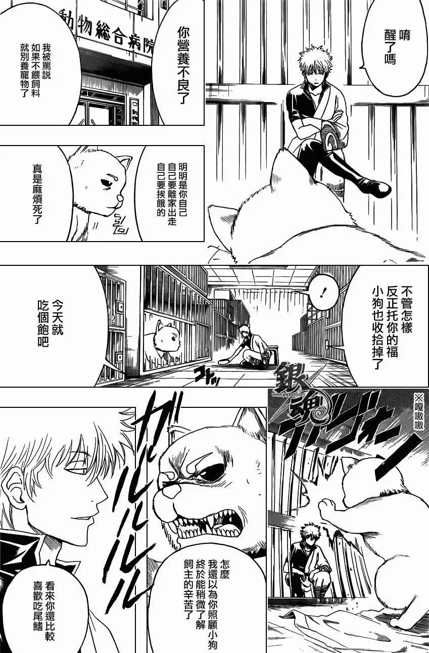 🍜银魂Gintama 第402回 第15页