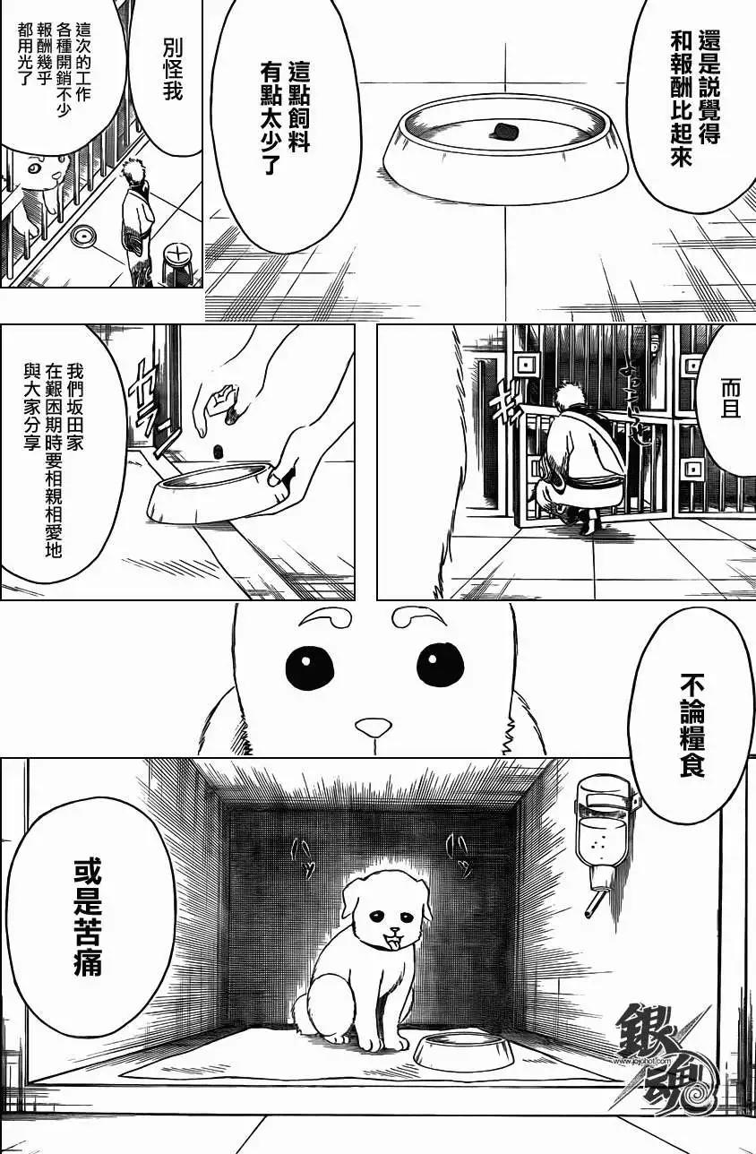 🍜银魂Gintama 第402回 第16页