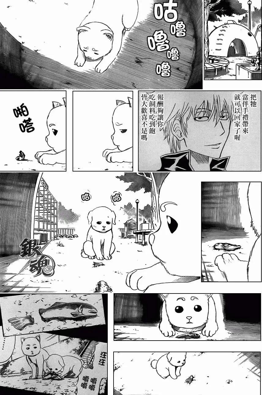 🍜银魂Gintama 第402回 第7页