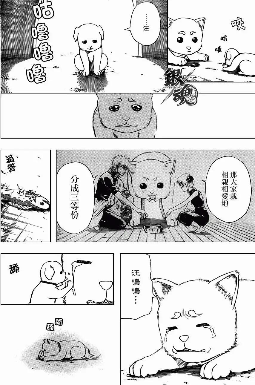 🍜银魂Gintama 第402回 第8页