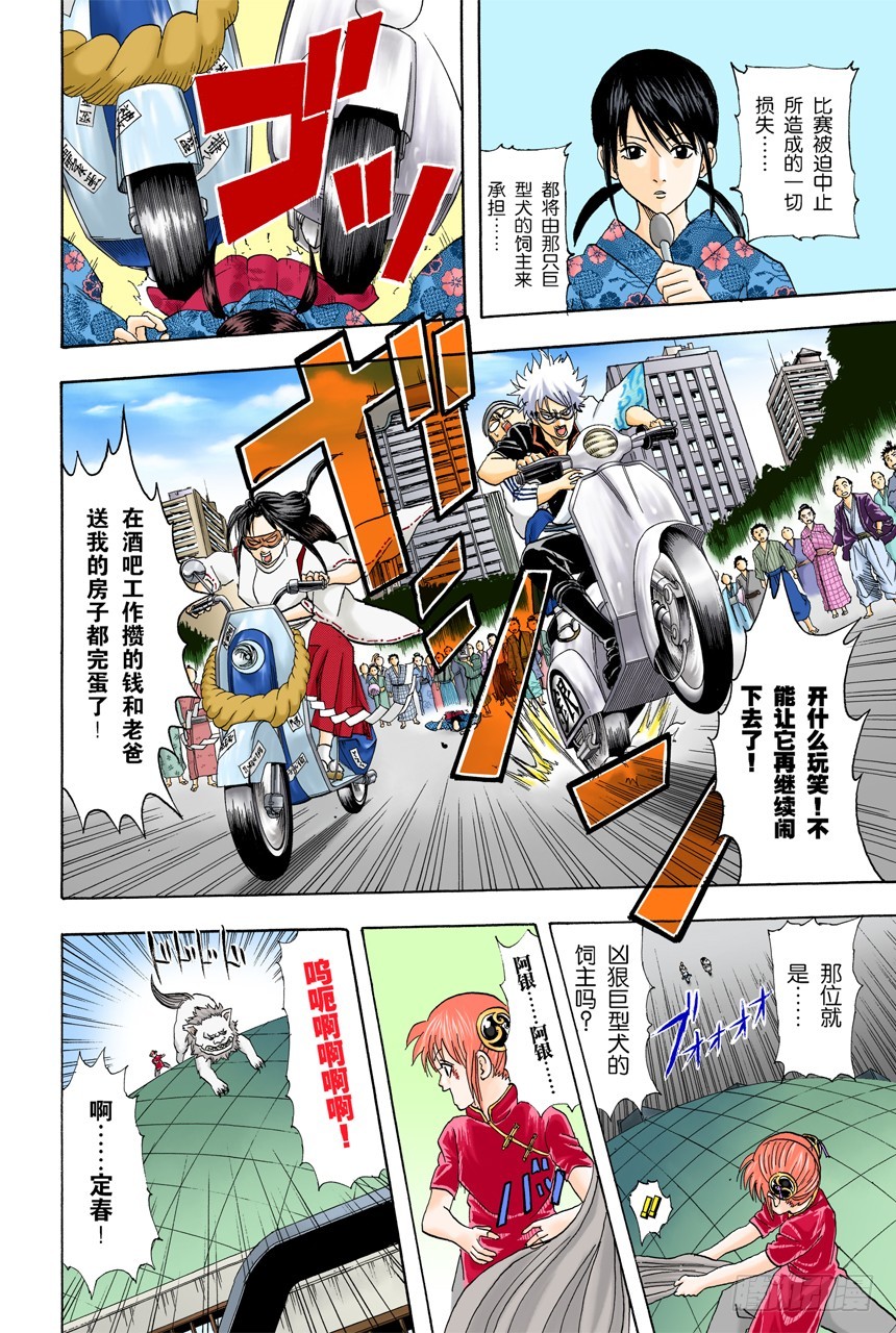 遛狗请保持适当的速度-第71话