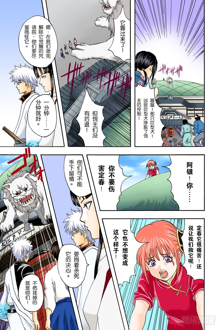 遛狗请保持适当的速度-第71话