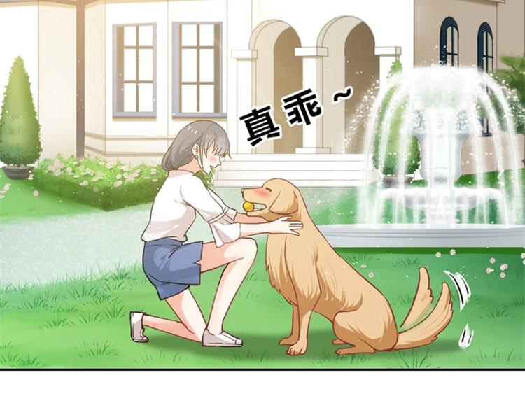 第3话 你是猪吗？(1/2)-第3话