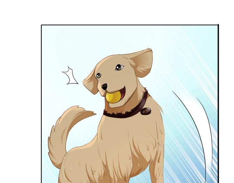第3话 你是猪吗？(1/2)-第3话