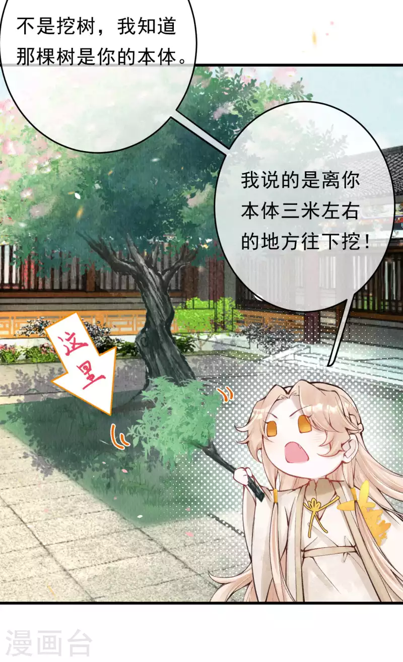 第33话 合欢树下的宝物-第35话