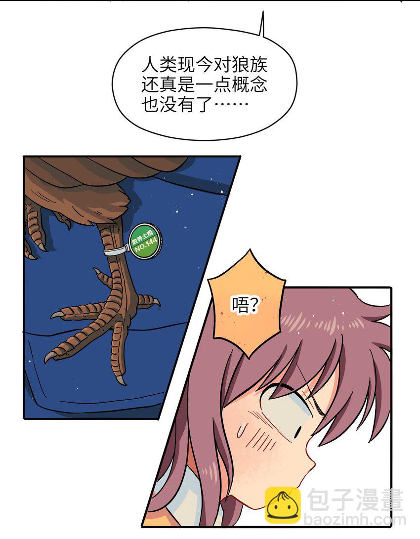 🍜銀狼少年 003 主狼 第12页