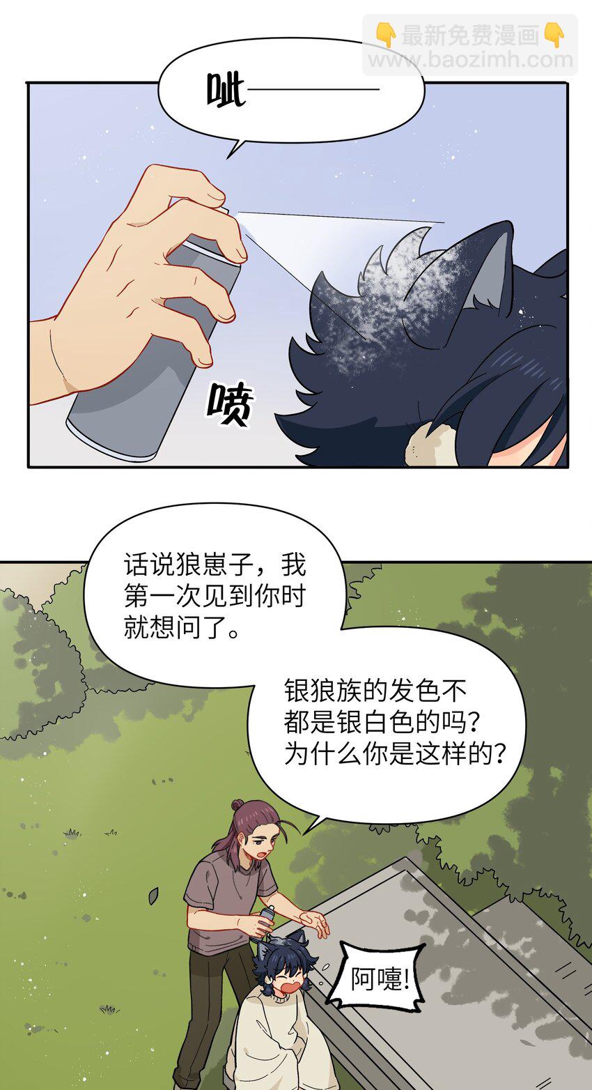 🍜銀狼少年 042 我是狼！纯的！ 第18页