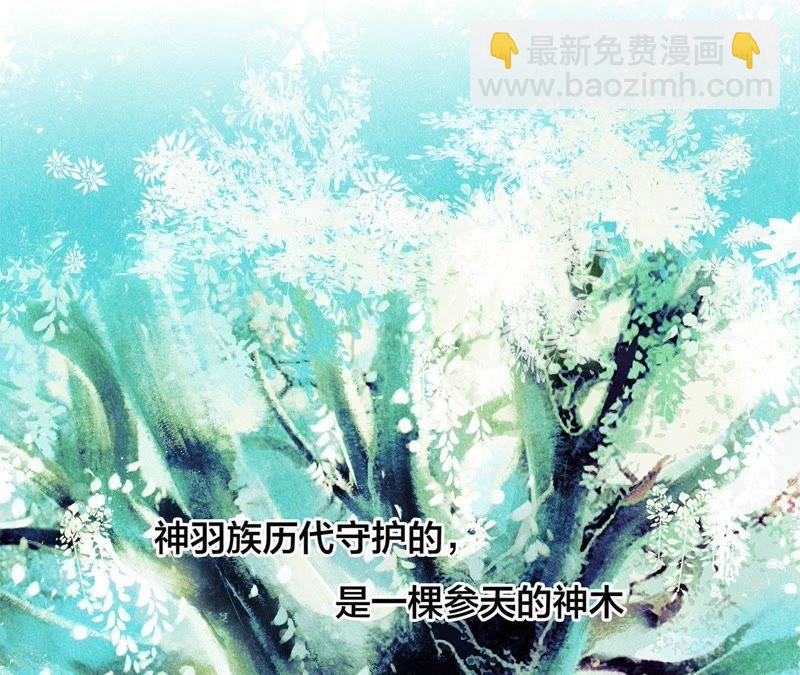 第59话 明庭（上）(1/2)-第65话
