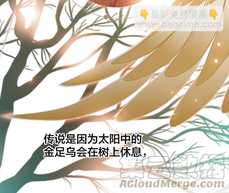 第59话 明庭（上）(1/2)-第65话