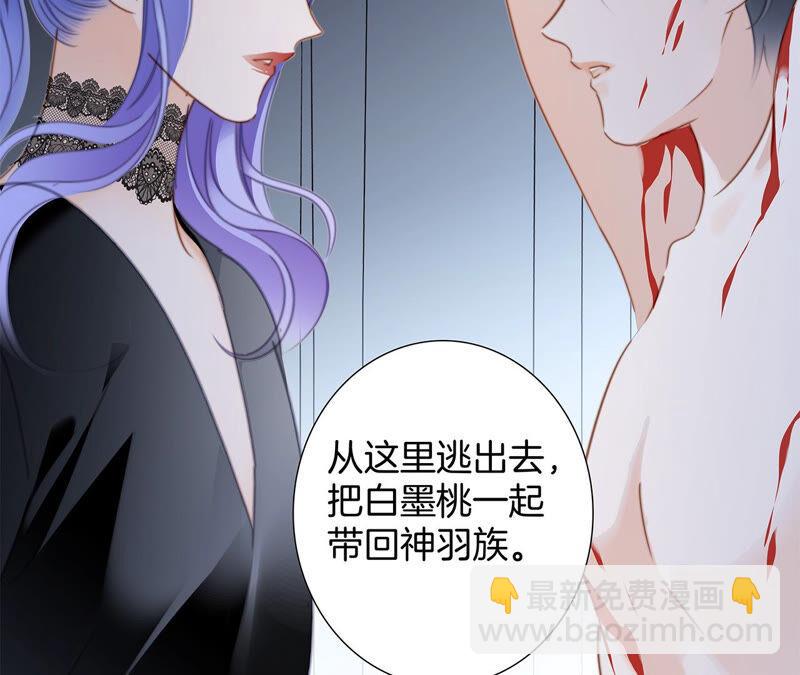 第77话 放归(1/2)-第83话