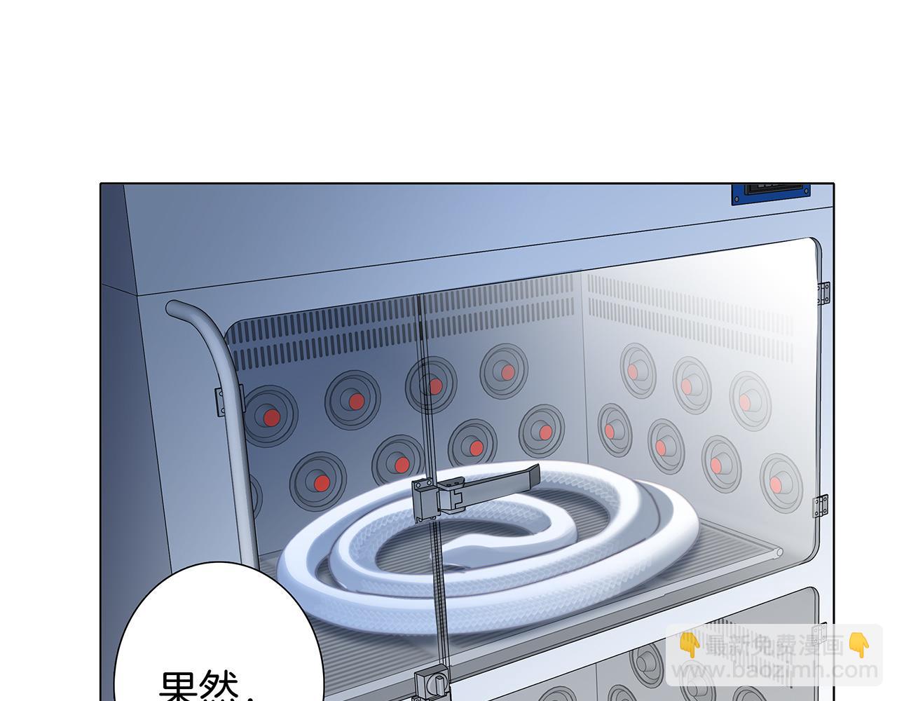第81话 特别篇 身份（上）(1/2)-第87话