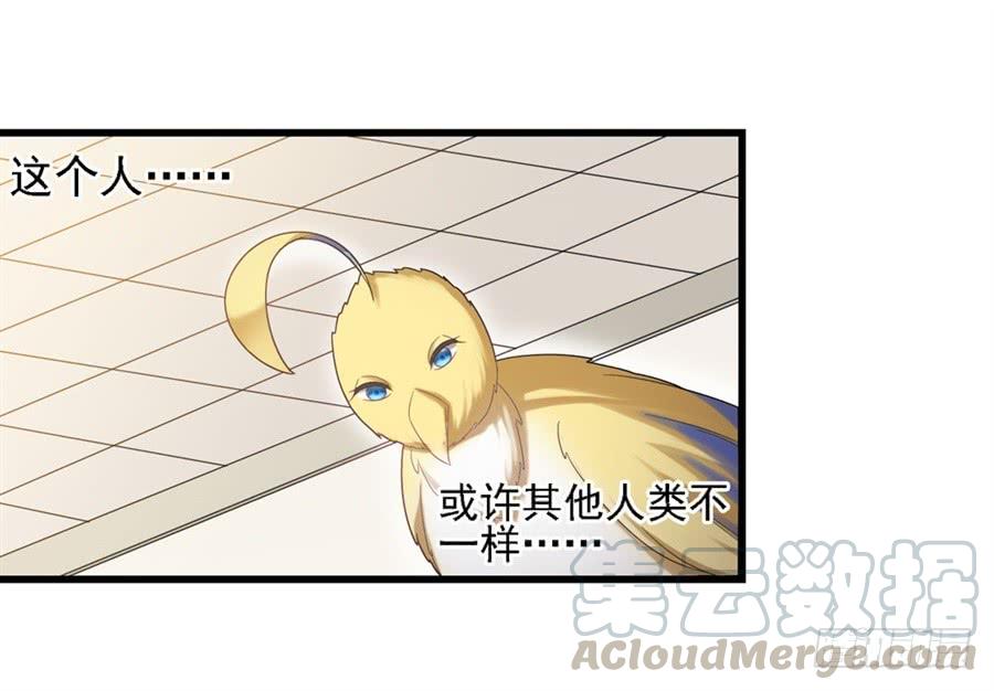 第一百四十六话(1/2)-第147话