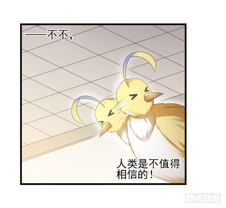 第一百四十六话(1/2)-第147话