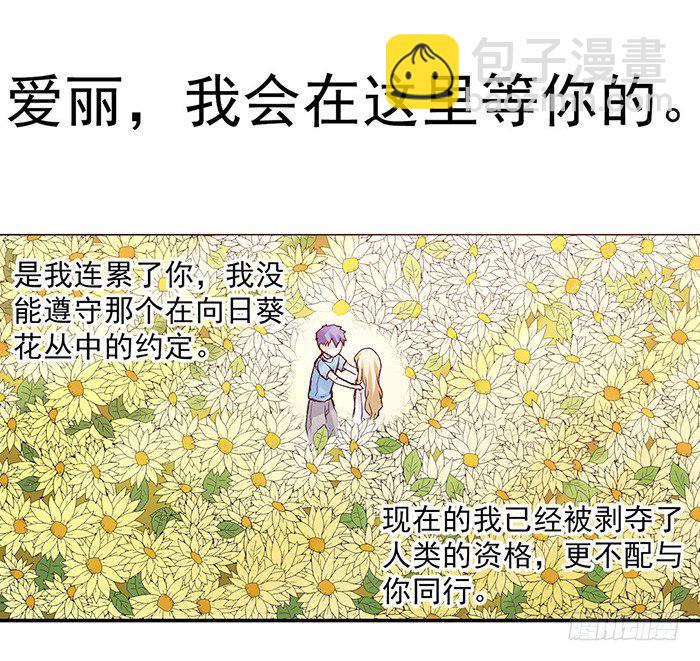 第三十八话(1/2)-第39话