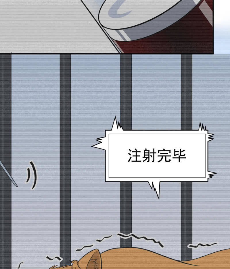 第32话 为了师父-第33话
