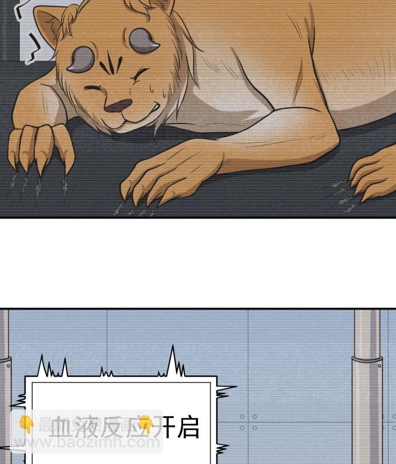 第32话 为了师父-第33话