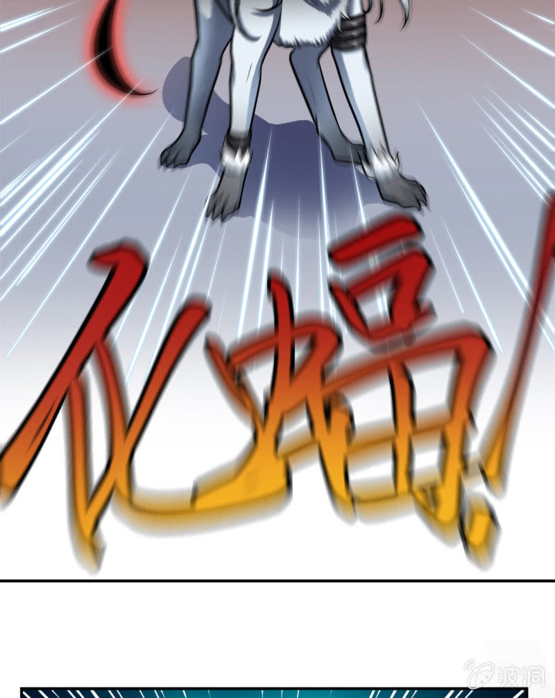 第38话 蝠群-第39话