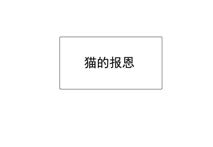 番外之森林篇-第133话