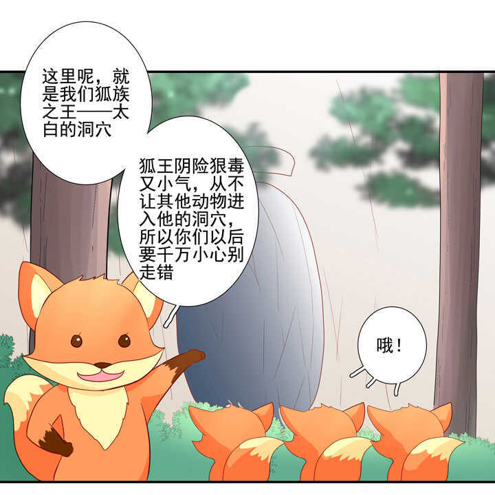 番外之森林篇-第133话