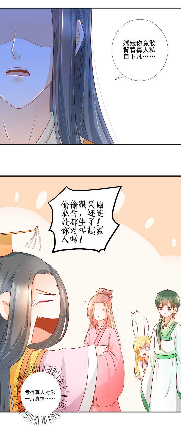 第40话 嫦娥私奔？！-第45话