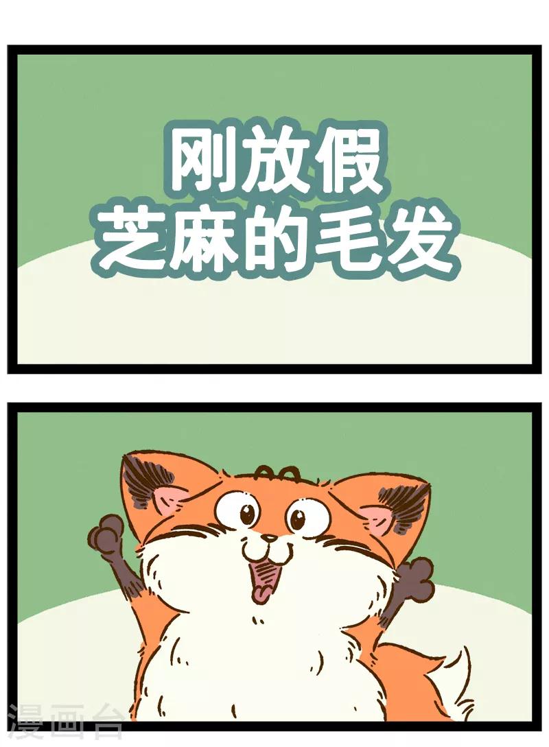 番外21 你好，星狐21-第101话