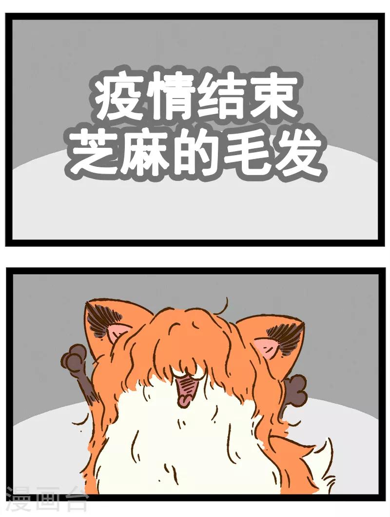 番外21 你好，星狐21-第101话