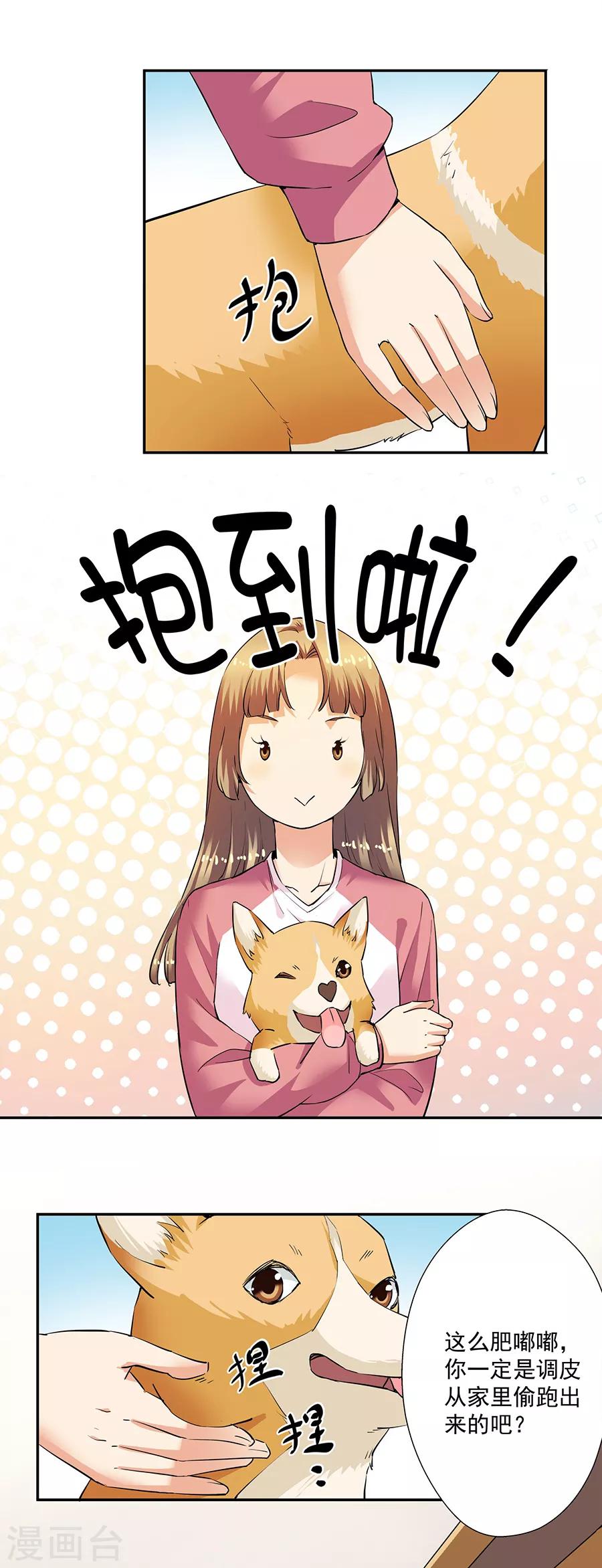第33话2 捡到一只狗-第145话
