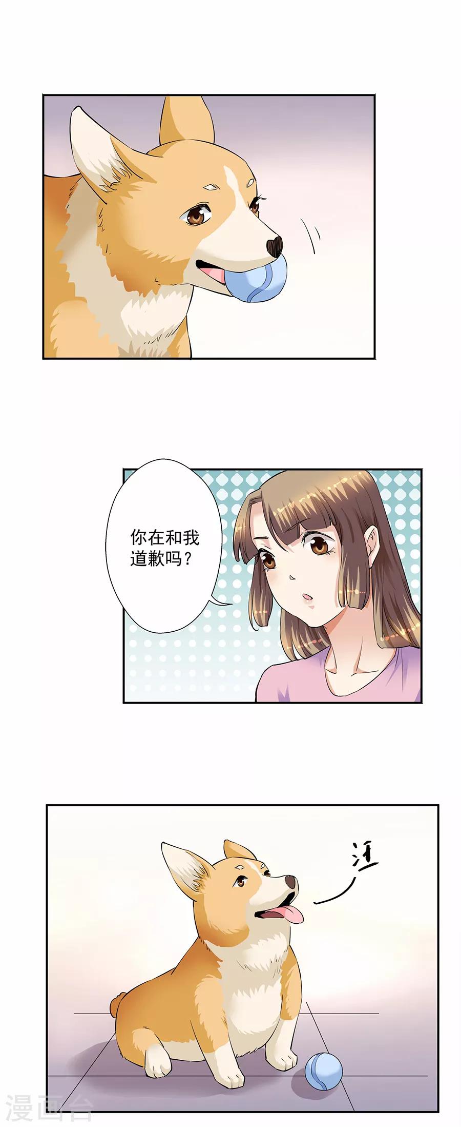 第33话6 捡到一只狗-第149话