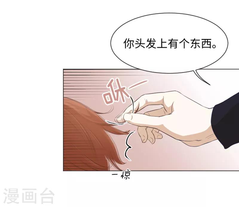 第21话 我要追求你2-第21话