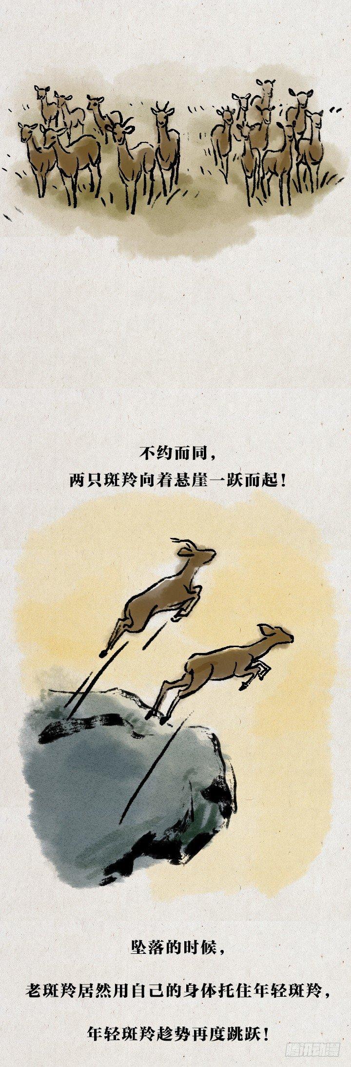 第七十二话 暖心小故事(1/2)-第71话