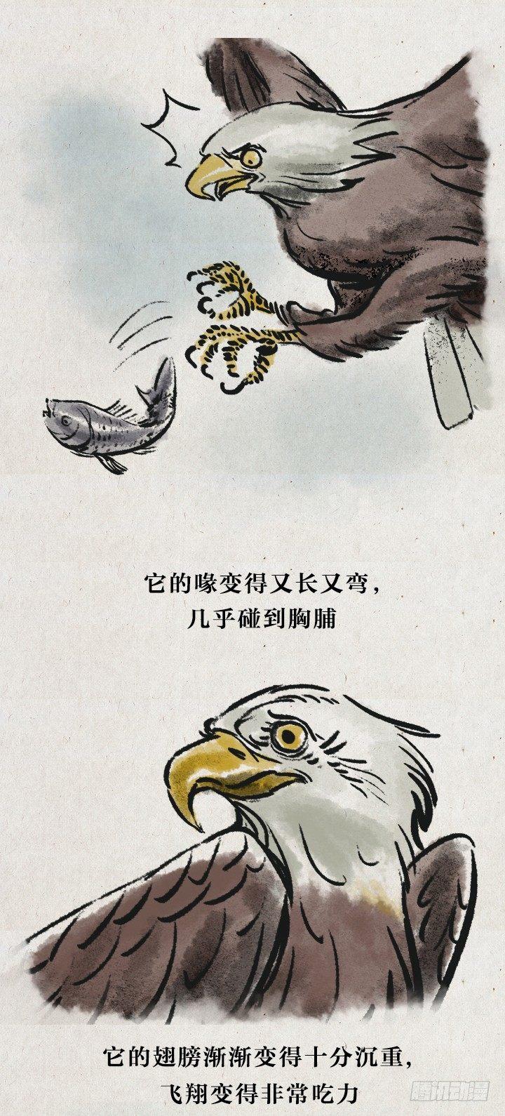 第七十二话 暖心小故事(1/2)-第71话
