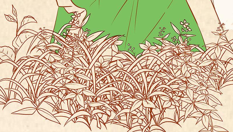 鹰鹤草-第11话