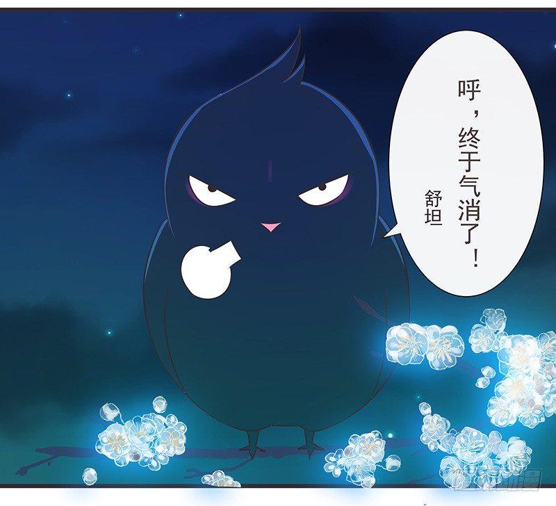 梅树上的乌鸦-第27话