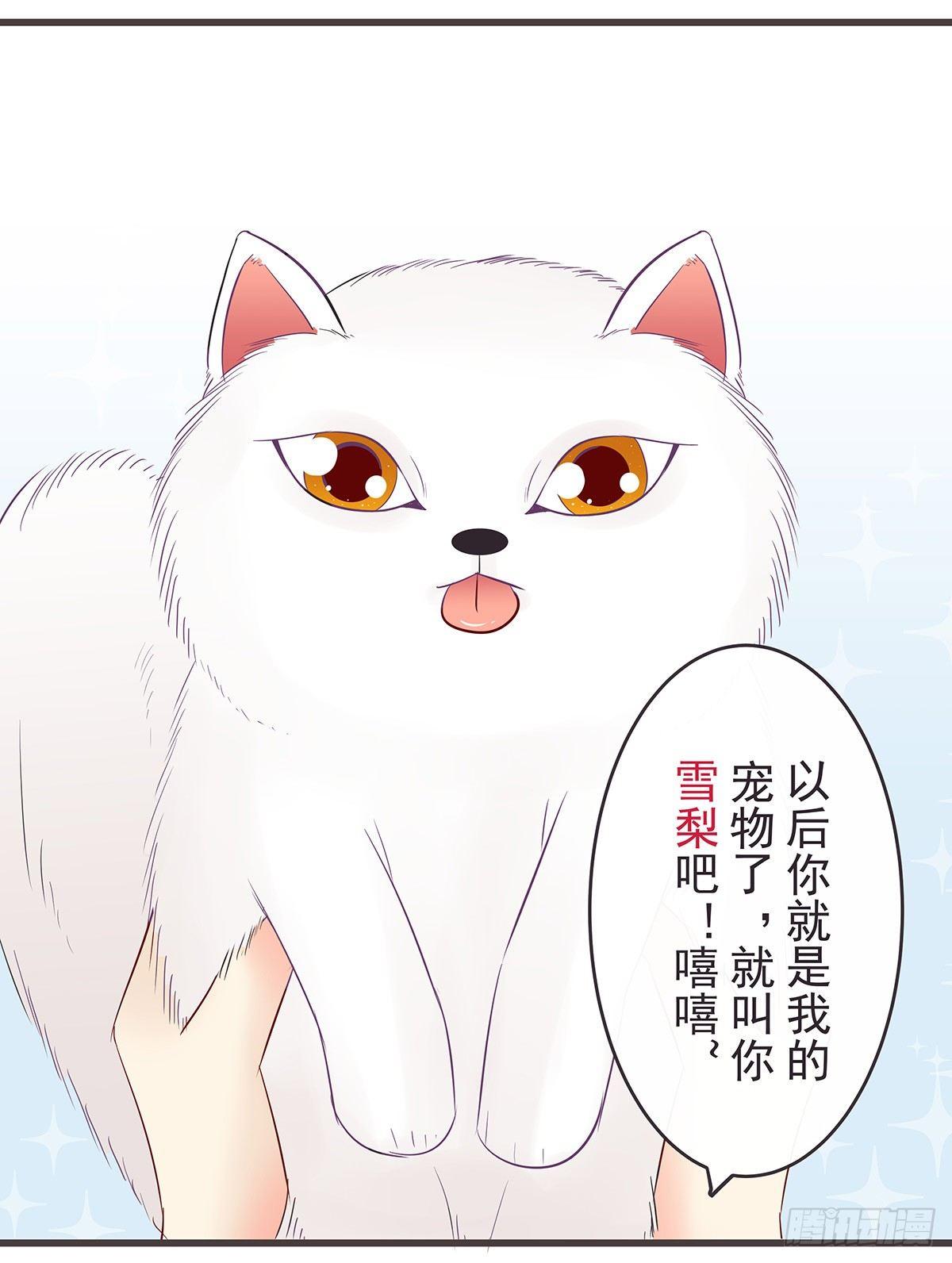 雪狸雪梨-第47话