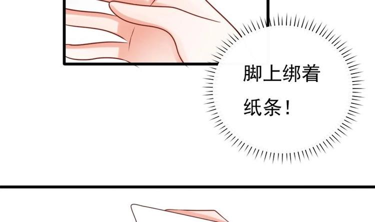 第17话 打听(1/2)-第17话