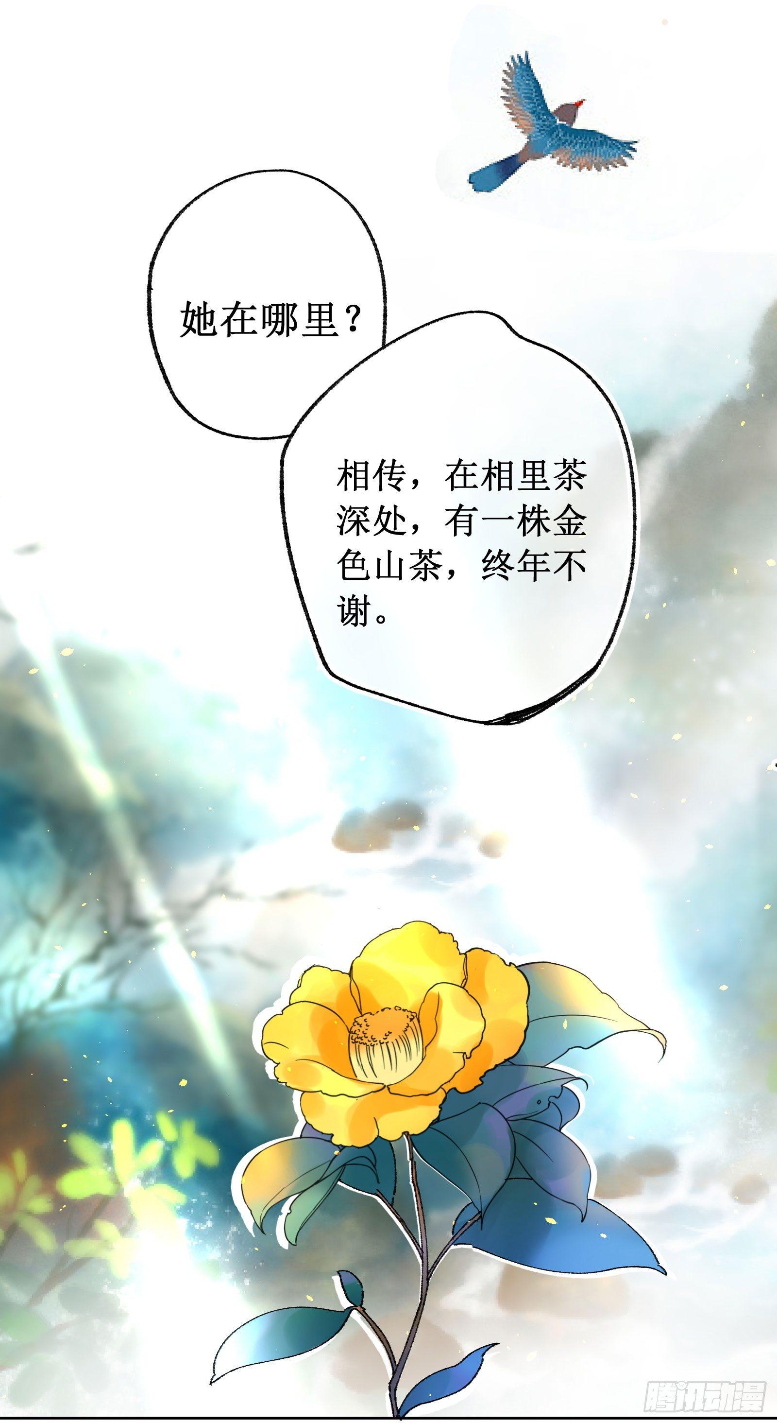 拾：金色山茶-第11话
