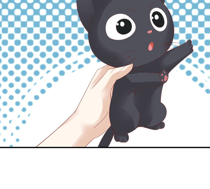 第54话(1/2)-第67话