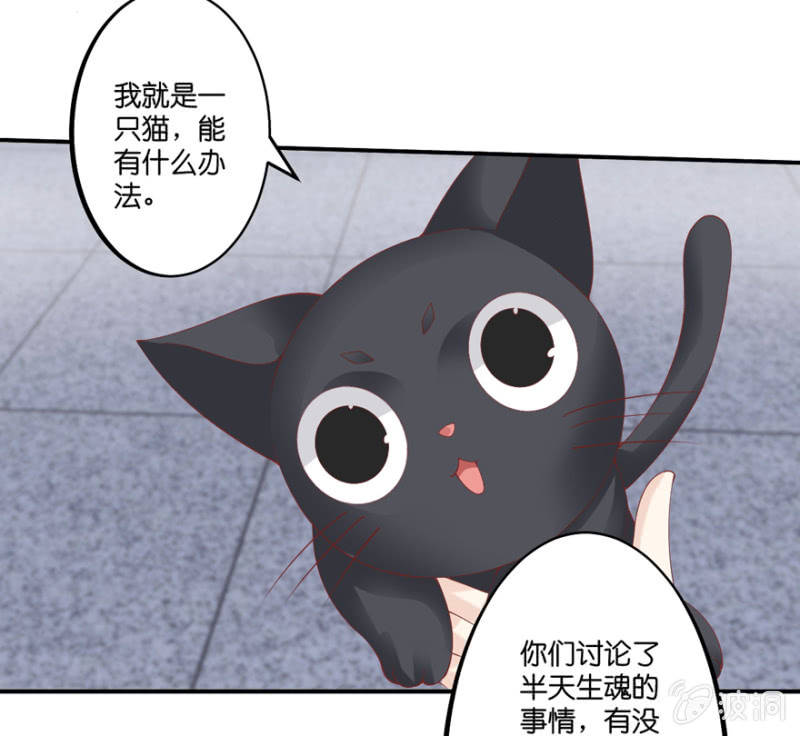 第54话(1/2)-第67话