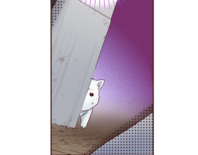 第25话 茸茸(1/2)-第25话