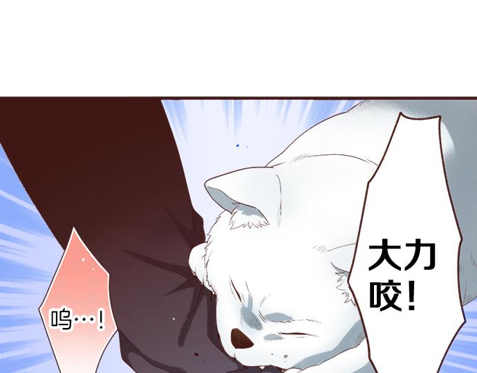 第25话 茸茸(1/2)-第25话