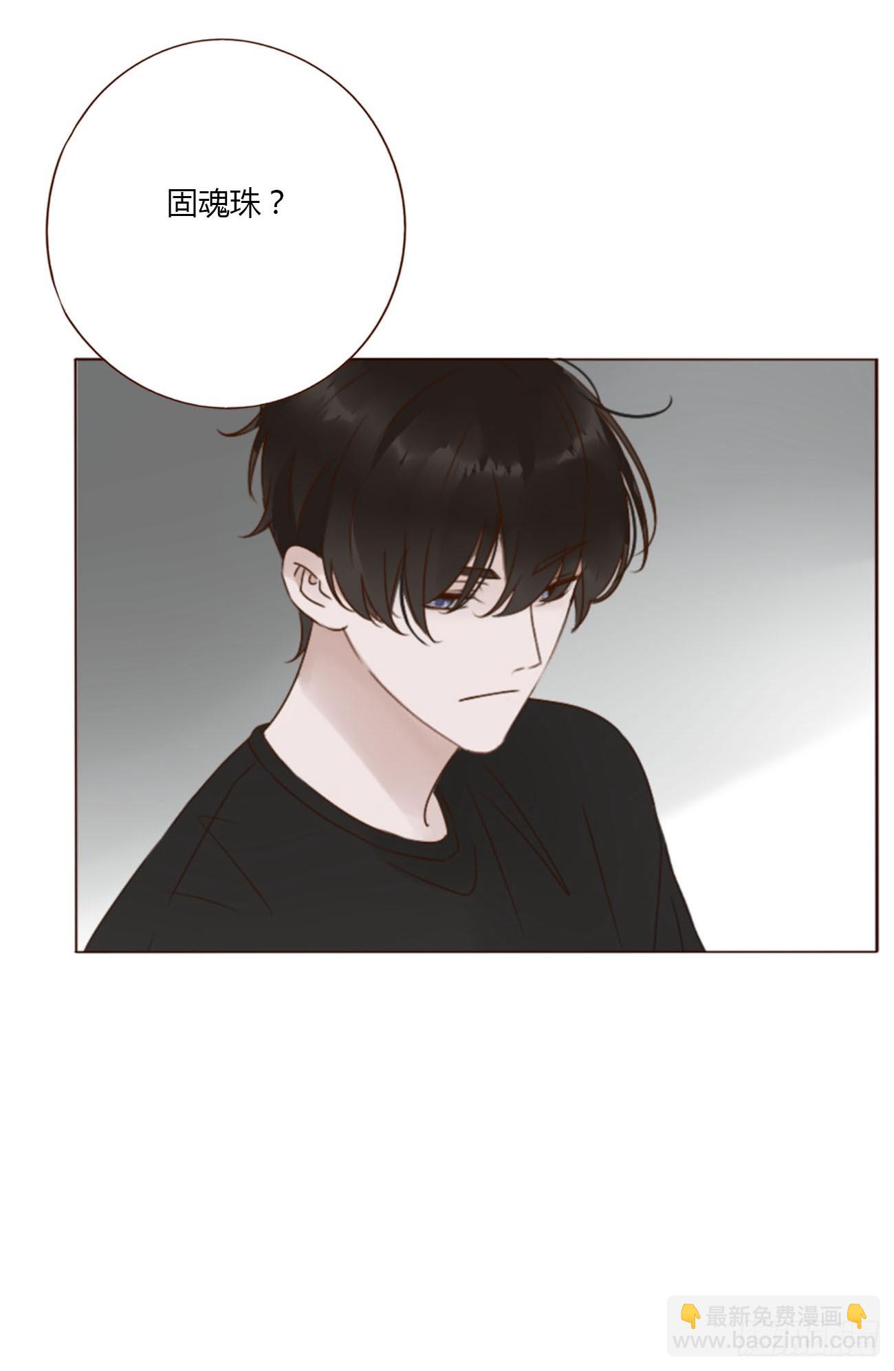 九十二章 固魂珠-第99话