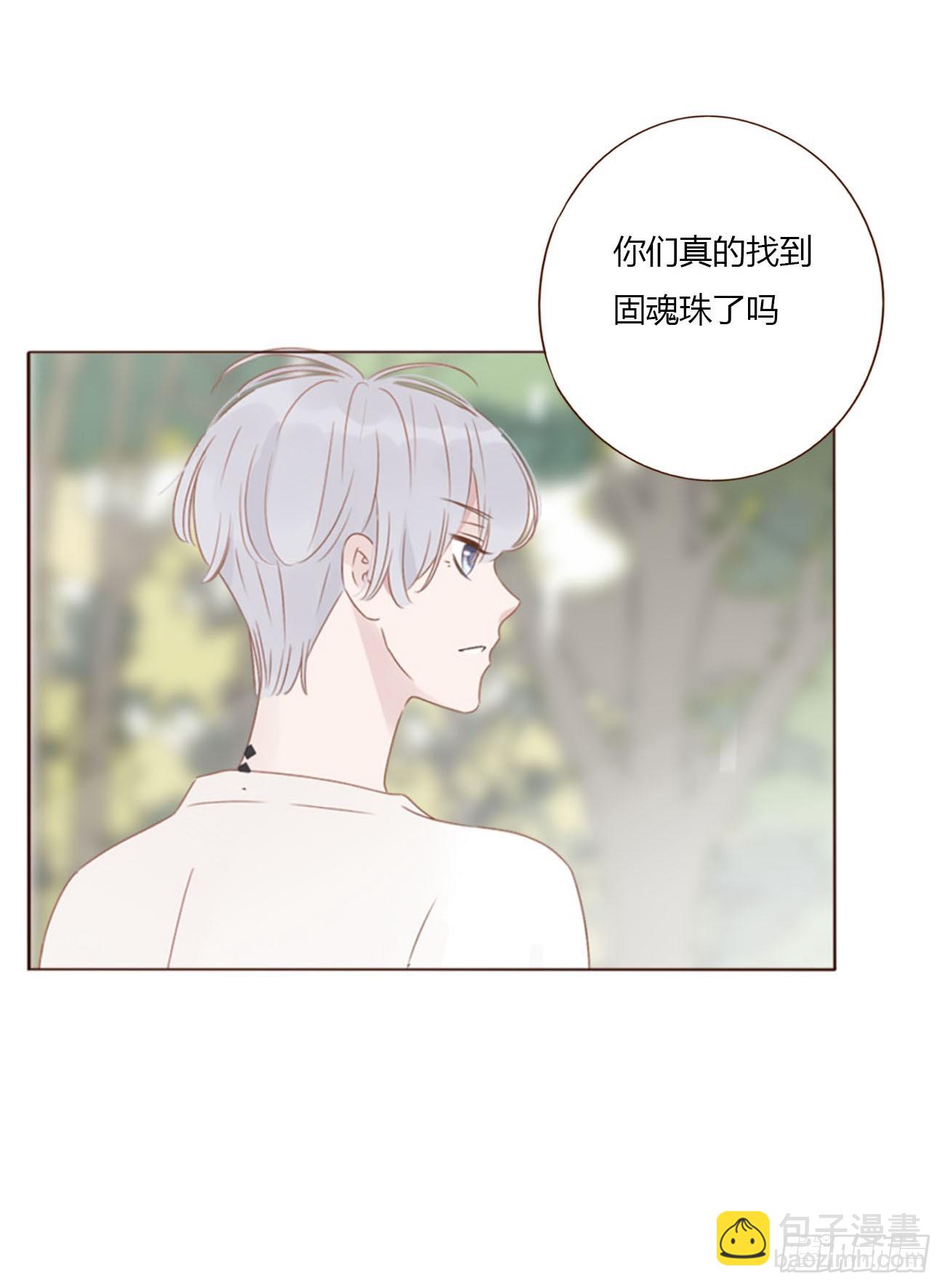 九十四章 固魂珠3-第101话