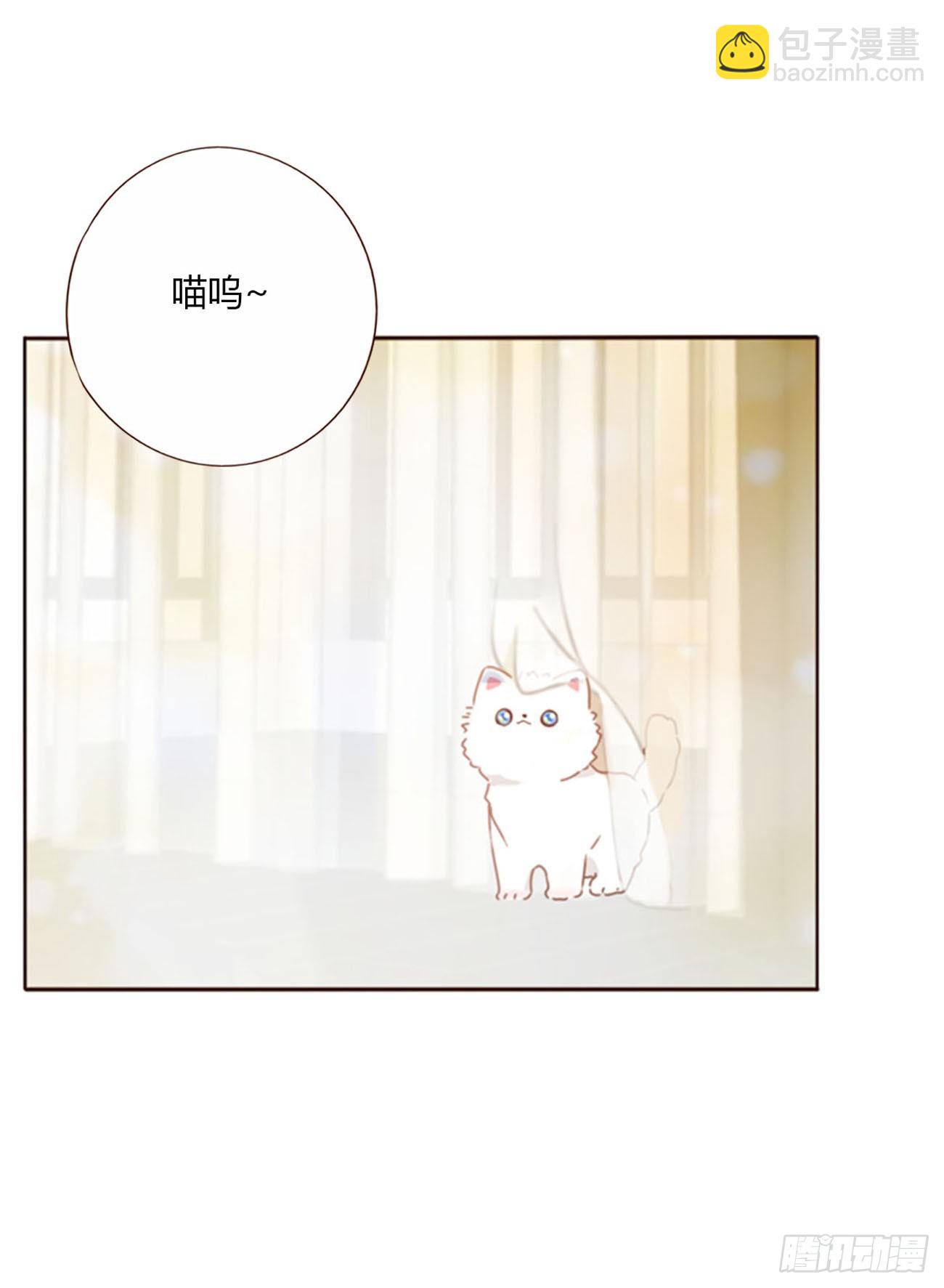 一一六章 猫妖-第123话