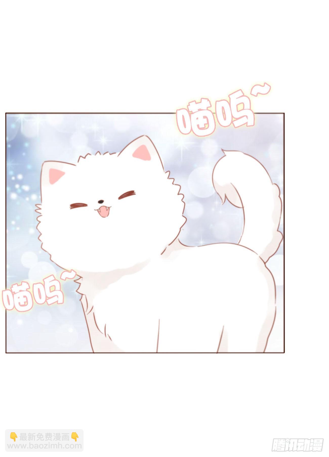 一一六章 猫妖-第123话