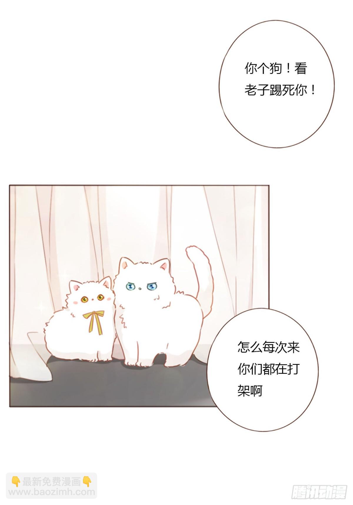 一三二章 小雪宝-第139话