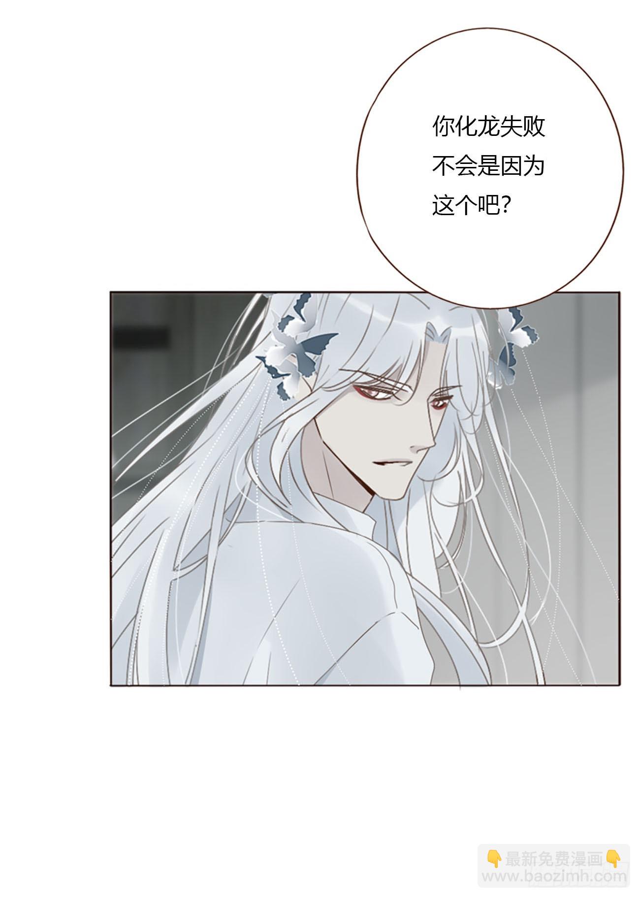 一七八章 算计蛮蟒-第185话