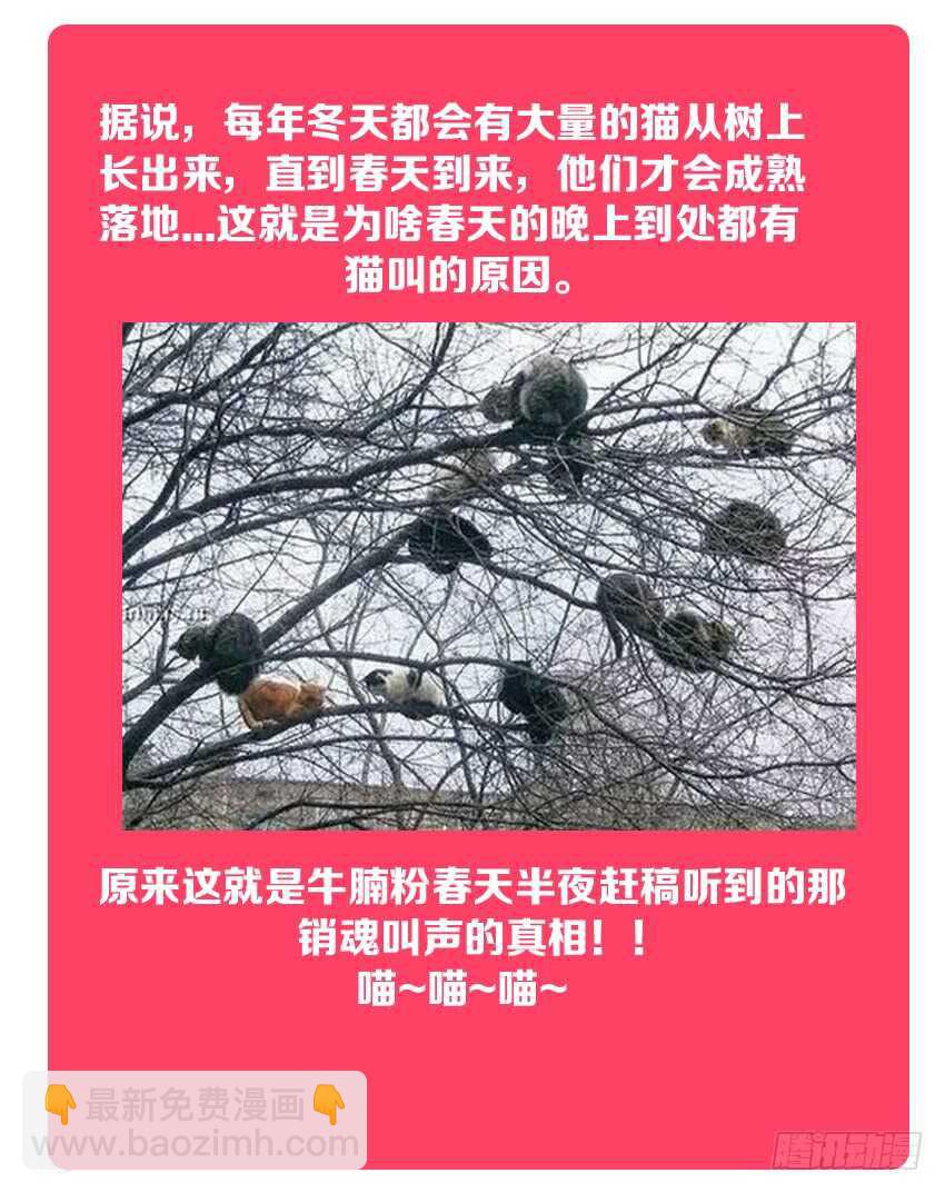 🍜勇者约吗 第143集 魔王大人 第13页