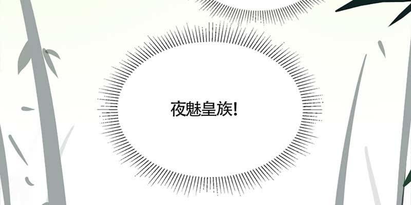 被狐狸教做人？(1/3)-第41话