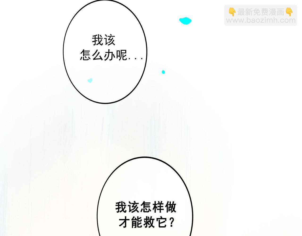 81.星星花(1/2)-第83话