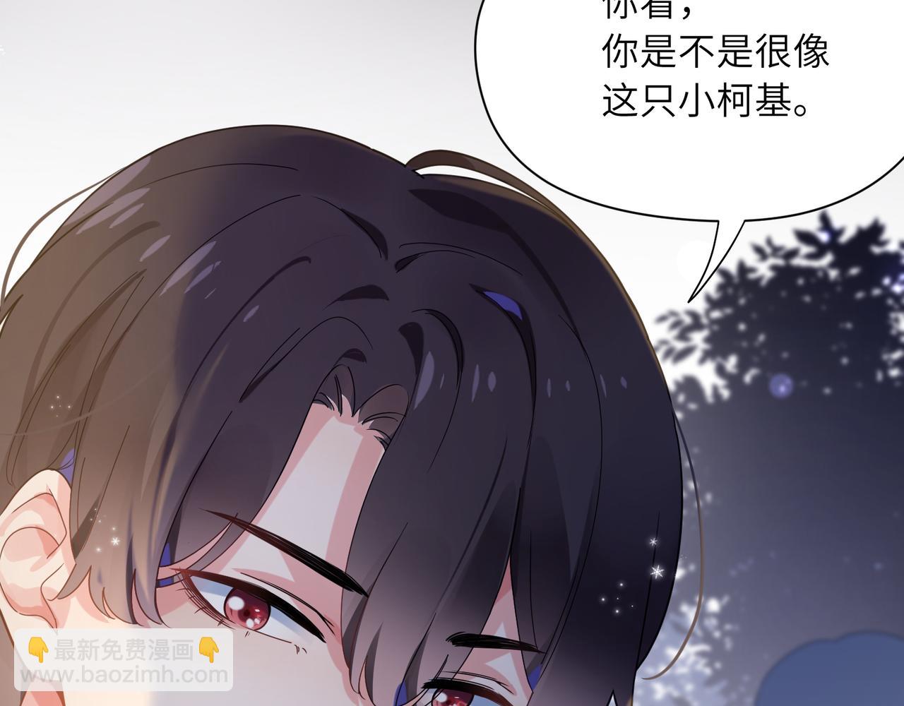 第31话  我很喜欢这只小狗(1/3)-第33话